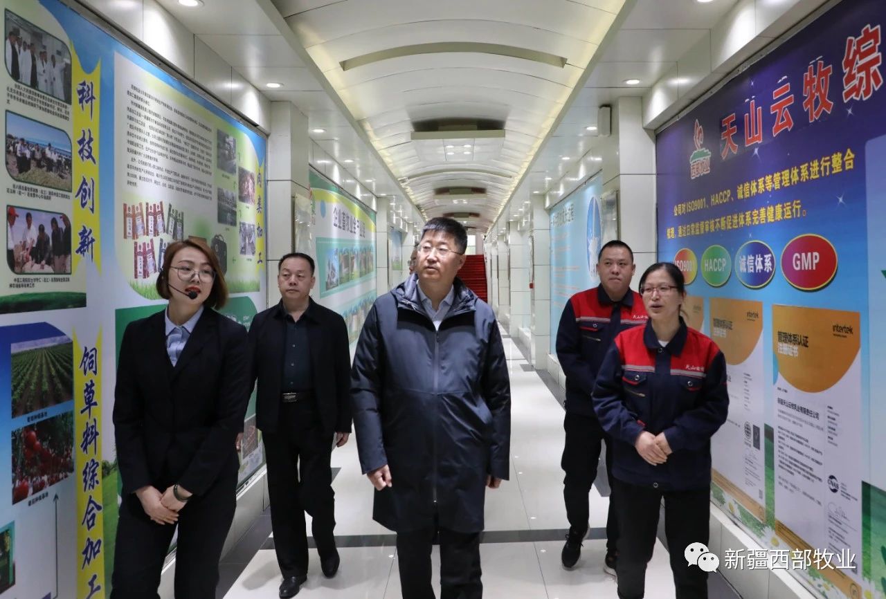 八師石河子市黨委常委、八師副師長趙日強到天山云牧公司調研